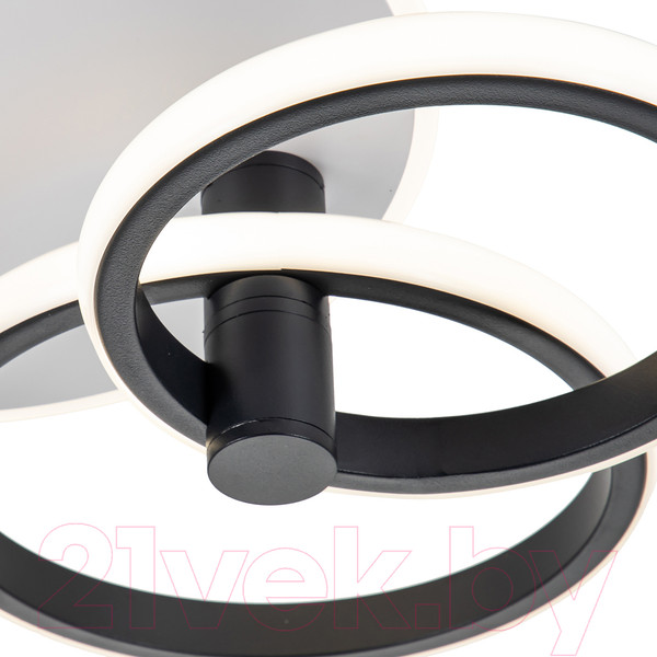 Изображение товара Потолочный светильник ESCADA 10213/2LED BL (белый/черный)