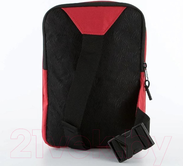 Изображение товара Рюкзак Ecotope 360-151-RED (красный)