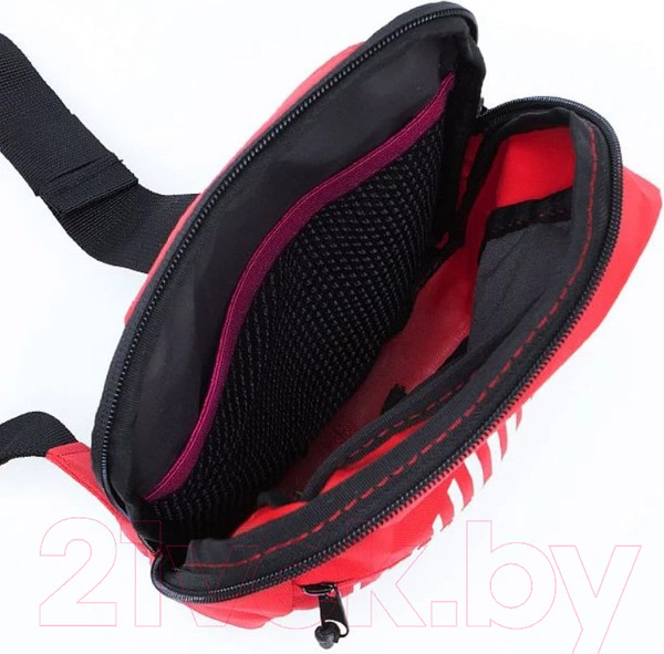 Изображение товара Рюкзак Ecotope 360-151-RED (красный)