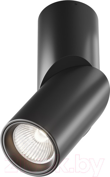 Изображение товара Потолочный светильник Maytoni Dafne C027CL-L10B4K