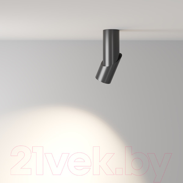 Изображение товара Потолочный светильник Maytoni Dafne C027CL-L10B4K