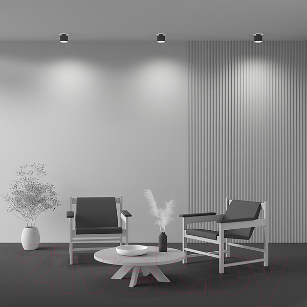 Изображение товара Потолочный светильник Maytoni Planet C009CW-L12B4K