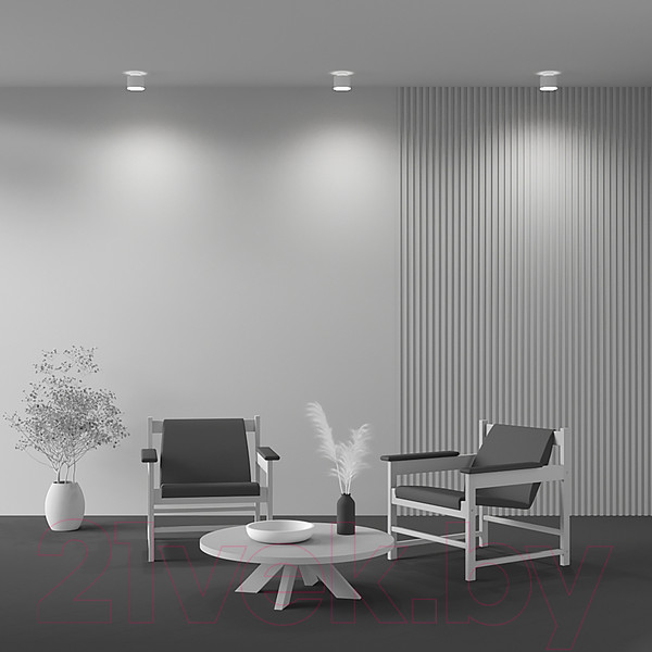 Изображение товара Потолочный светильник Maytoni Planet C009CW-L12W4K