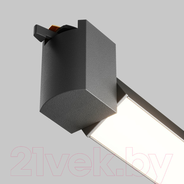 Изображение товара Трековый светильник Maytoni Basis Rot TR104-1-20W4K-B