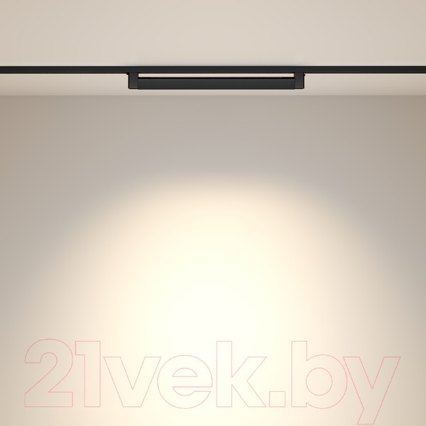 Изображение товара Трековый светильник Maytoni Points Rot TR010-1-20W3K-M-B