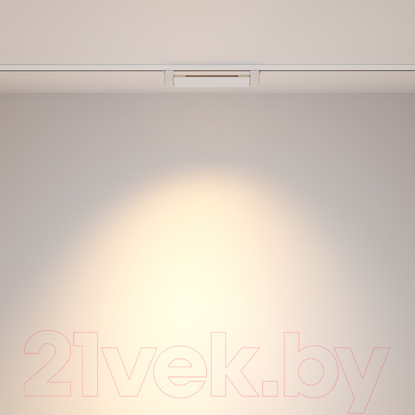 Изображение товара Трековый светильник Maytoni Points Rot TR010-1-10W3K-M-W