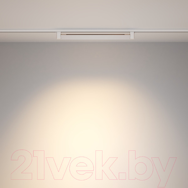 Изображение товара Трековый светильник Maytoni Points Rot TR010-1-20W4K-M-W