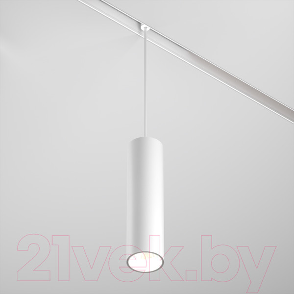 Изображение товара Трековый светильник Maytoni Focus Led TR041-2-12W4K-W