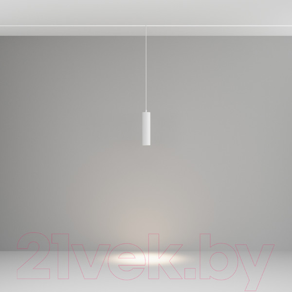 Изображение товара Трековый светильник Maytoni Focus Led TR041-2-12W4K-W