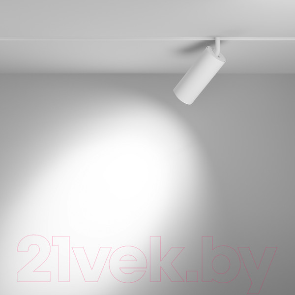 Изображение товара Трековый светильник Maytoni Focus LED TR032-2-20W3K-S-W