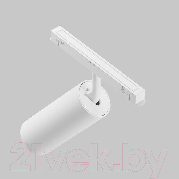 Изображение товара Трековый светильник Maytoni Focus LED TR032-2-20W4K-S-W