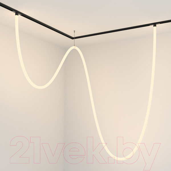 Изображение товара Трековый светильник Maytoni Tau TR101-2-100W3K-B