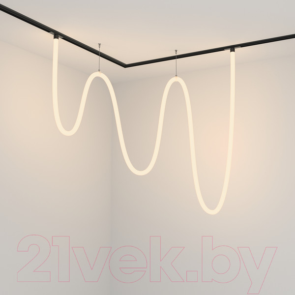 Изображение товара Трековый светильник Maytoni Tau TR101-2-100W3K-B