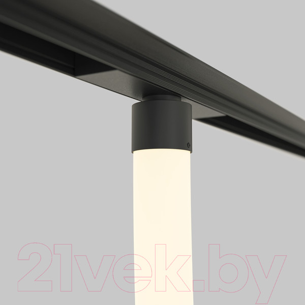 Изображение товара Трековый светильник Maytoni Tau TR101-2-100W3K-B