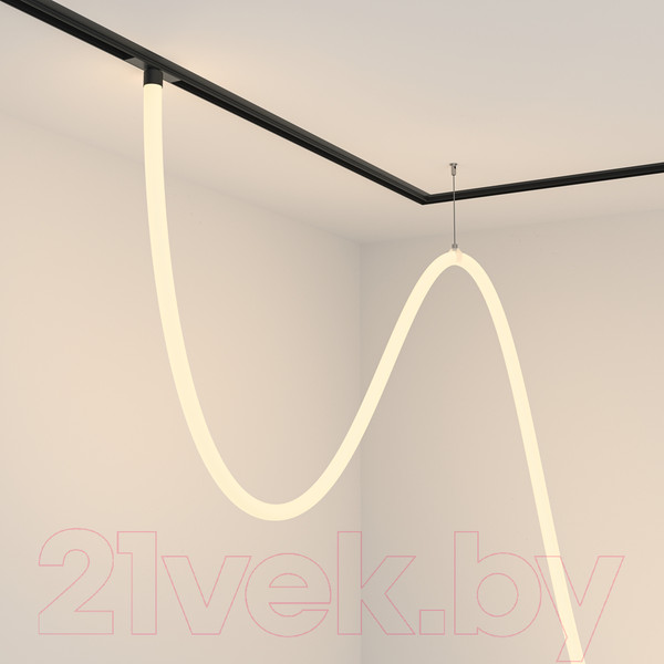 Изображение товара Трековый светильник Maytoni Tau TR101-2-100W3K-B