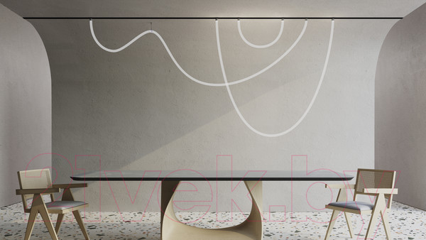 Изображение товара Трековый светильник Maytoni Tau TR101-2-100W3K-B