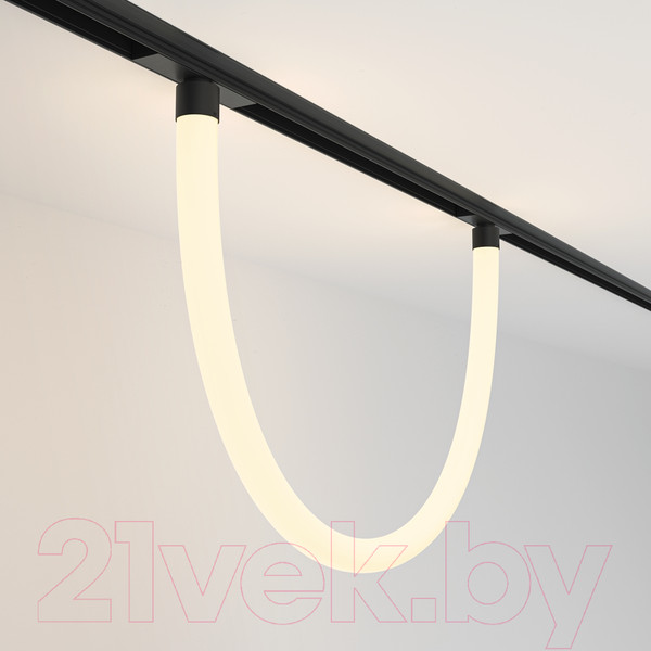 Изображение товара Трековый светильник Maytoni Tau TR101-2-20W3K-B