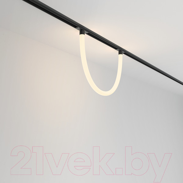 Изображение товара Трековый светильник Maytoni Tau TR101-2-20W3K-B