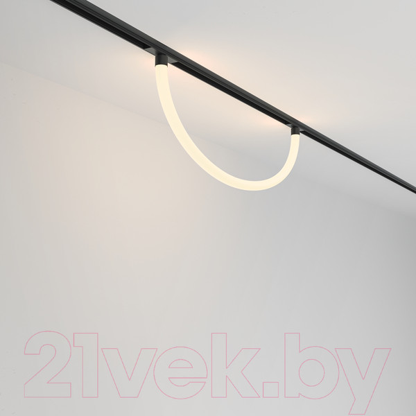 Изображение товара Трековый светильник Maytoni Tau TR101-2-20W3K-B