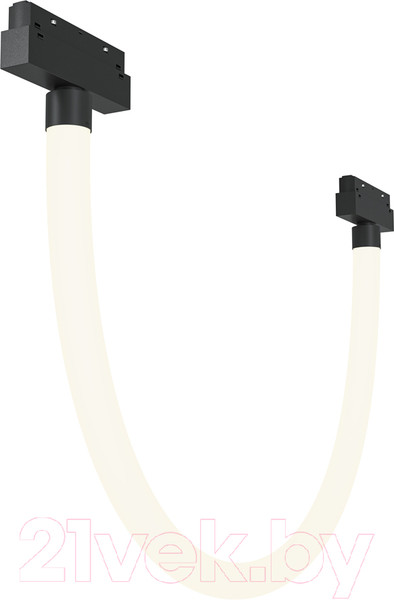 Изображение товара Трековый светильник Maytoni Tau TR101-2-20W4K-B