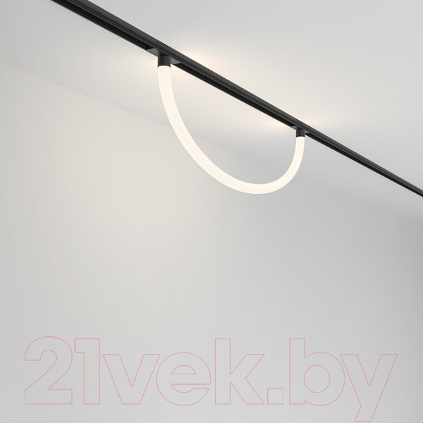 Изображение товара Трековый светильник Maytoni Tau TR101-2-20W4K-B