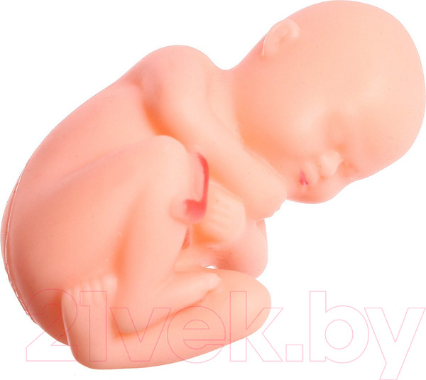 Изображение товара Научная игра Эврики Строение тела. Беременная женщина / 9405614