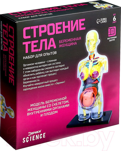 Изображение товара Научная игра Эврики Строение тела. Беременная женщина / 9405614