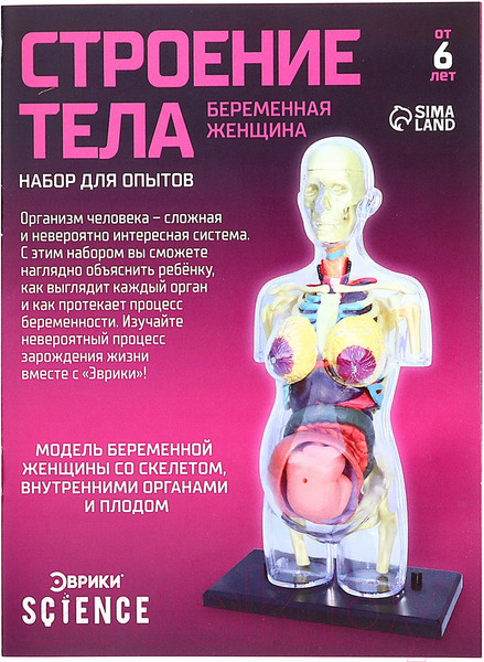 Изображение товара Научная игра Эврики Строение тела. Беременная женщина / 9405614