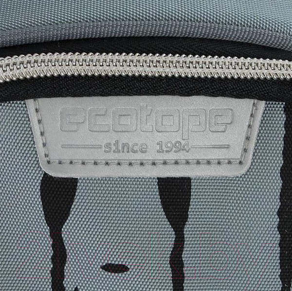 Изображение товара Школьный рюкзак Ecotope Kids Венсдей / 057-22003/1-21-GRY (серый)