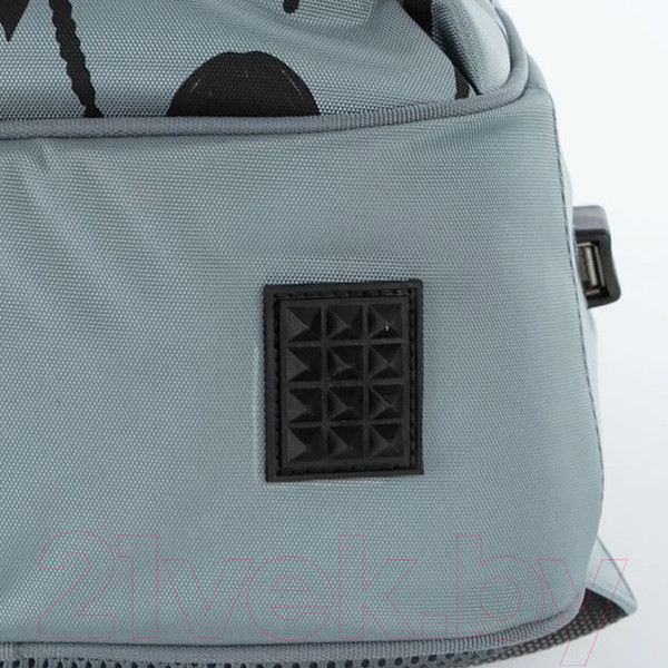 Изображение товара Школьный рюкзак Ecotope Kids Венсдей / 057-22003/1-21-GRY (серый)