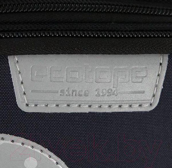 Изображение товара Школьный рюкзак Ecotope Kids Гарри / 057-540-159-CLR (Dark Color)