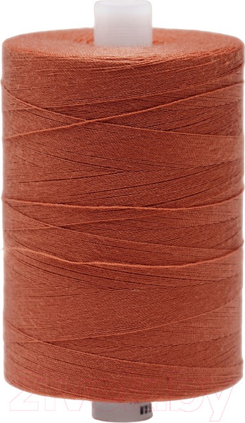 Изображение товара Швейные нитки Красная нить 45ЛЛ (2500м, 135)