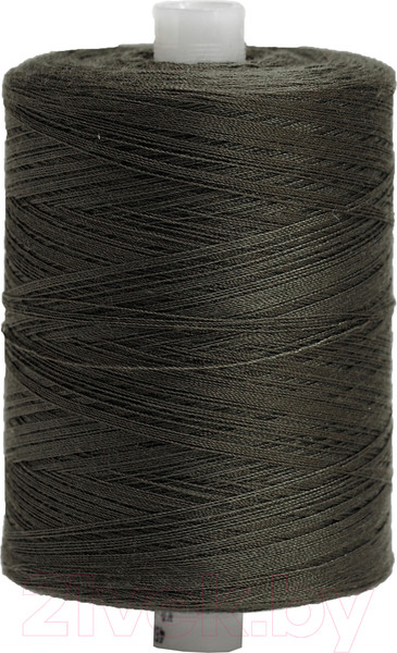 Изображение товара Швейные нитки Красная нить 45ЛЛ (2500м, 228)