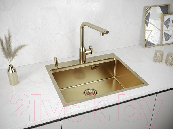 Изображение товара Мойка кухонная Paulmark PM705951-BG