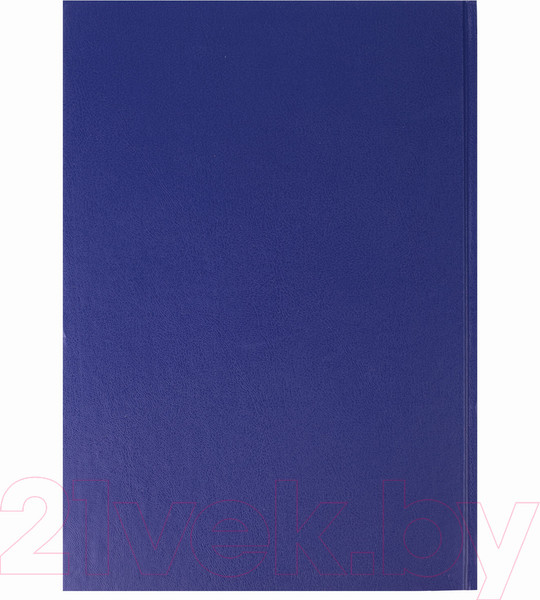 Изображение товара Журнал учета Brauberg 130235 (96л)