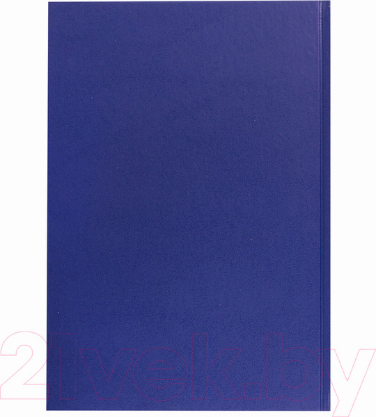 Изображение товара Журнал учета Brauberg 130257 (96л)