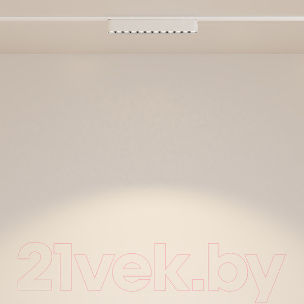 Изображение товара Трековый светильник Maytoni Points TR082-1-12W3K-M-W