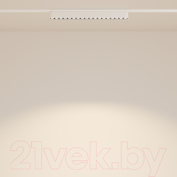 Изображение товара Трековый светильник Maytoni Points TR082-1-18W3K-M-W