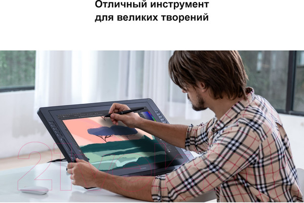 Изображение товара Графический планшет Huion Kamvas Pro 24