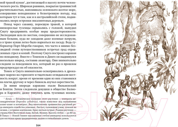 Изображение товара Книга Азбука Томек среди охотников за человеческими головами (Шклярский А.)