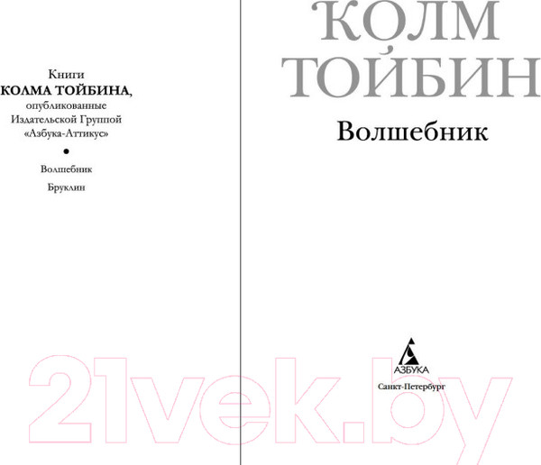 Изображение товара Книга Азбука Волшебник (Тойбин К.)