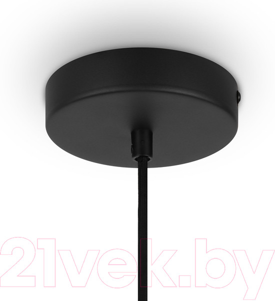 Изображение товара Потолочный светильник Maytoni Roots MOD194PL-01W