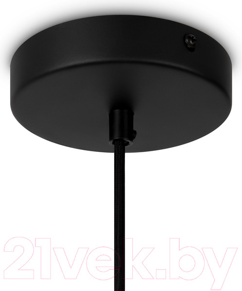 Изображение товара Потолочный светильник Maytoni Roots MOD195PL-01W1