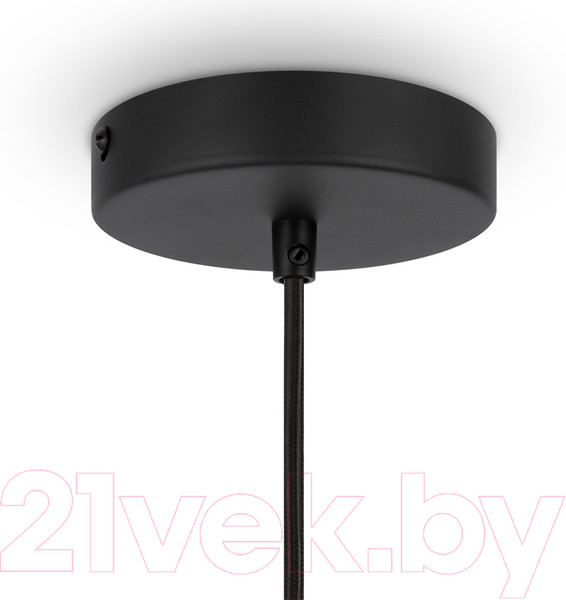 Изображение товара Потолочный светильник Maytoni Roots MOD197PL-01W