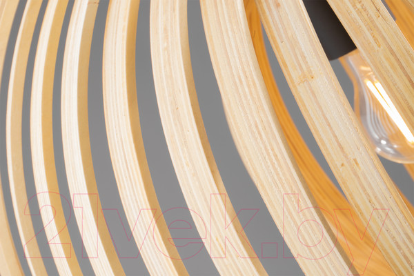 Изображение товара Потолочный светильник Maytoni Roots MOD197PL-01W