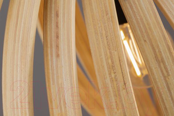 Изображение товара Потолочный светильник Maytoni Roots MOD197PL-01W