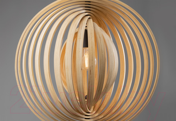 Изображение товара Потолочный светильник Maytoni Roots MOD197PL-01W