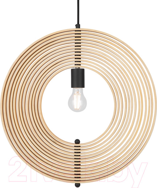 Изображение товара Потолочный светильник Maytoni Roots MOD197PL-01W1