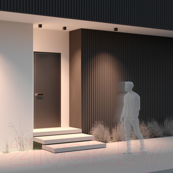 Изображение товара Потолочный светильник Maytoni Ares O309CL-L8GF3K