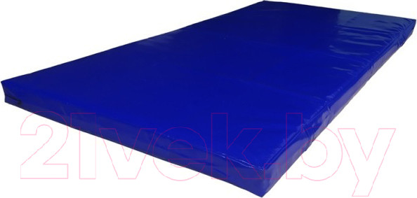 Изображение товара Гимнастический мат Dinamika ZSO-004128 (2x1.25x0.12, тент/антислип/ппу)